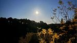 view-from-room - Ferienhaus für 4 Personen (95 m²) in Prades-sur-Vernazobre - Top-Hundeurlaub