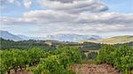 house - Ferienhaus für 4 Personen (95 m²) in Prades-sur-Vernazobre - Top-Hundeurlaub
