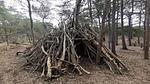 Untagged - Ferienhaus für 15 Personen (199 m²) in Rømø - Top-Hundeurlaub