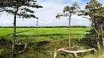 Untagged - Ferienhaus für 15 Personen (199 m²) in Rømø - Top-Hundeurlaub