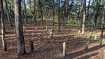 Untagged - Ferienhaus für 15 Personen (199 m²) in Rømø - Top-Hundeurlaub