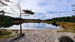 WaterView - Ferienhaus für 15 Personen (199 m²) in Rømø - Top-Hundeurlaub
