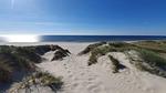 Untagged - Ferienhaus für 21 Personen (256 m²) in Nørre Nebel - Top-Hundeurlaub