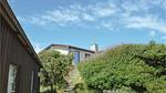 outside - Ferienhaus für 4 Personen (64 m²) in Brovst - Top-Hundeurlaub
