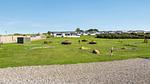 house - Ferienhaus für 5 Personen (50 m²) in Tranekær - Top-Hundeurlaub