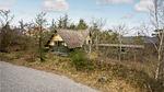 house - Ferienhaus für 4 Personen (50 m²) in Nørre Nebel - Top-Hundeurlaub