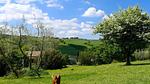 Untagged - Ferienhaus für 6 Personen (160 m²) in Volterra - Top-Hundeurlaub