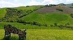 Untagged - Ferienhaus für 6 Personen (160 m²) in Volterra - Top-Hundeurlaub
