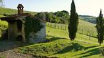 Untagged - Ferienhaus für 6 Personen (160 m²) in Volterra - Top-Hundeurlaub