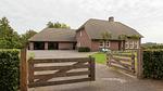 ExteriorSummer - Ferienhaus für 15 Personen (250 m²) in Leende - Top-Hundeurlaub