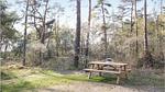 house - Ferienhaus für 6 Personen (59 m²) in Ommen - Top-Hundeurlaub