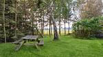 outside - Ferienhaus für 6 Personen (76 m²) in Melby - Top-Hundeurlaub