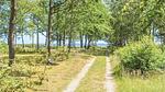 house - Ferienhaus für 5 Personen (100 m²) in Søndbjerg - Top-Hundeurlaub