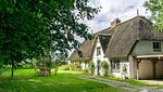 Ferienhaus - Ferienhaus Borsthusen - Top-Hundeurlaub