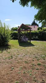 Landschaft - Ferienwohnung Fischers Wiek - klein und zentral - Top-Hundeurlaub