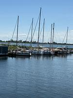 Hausboot Baltic Loft - Top-Hundeurlaub