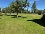 Villa Wildlycka - Top-Hundeurlaub