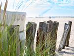 Strand - Ferienhaus Strandpark 11 - Top-Hundeurlaub