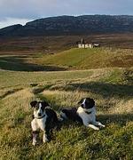 Landhaus Stapel in der Elbtalaue - Top-Hundeurlaub