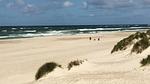 beach - Ferienhaus für 20 Personen (277 m²) in Henne - Top-Hundeurlaub