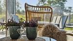 living-dining-room - Ferienhaus für 18 Personen (235 m²) in Rømø - Top-Hundeurlaub