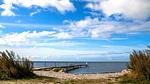 beach - Ferienhaus für 14 Personen (188 m²) in Rødby - Top-Hundeurlaub