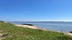 beach - Ferienhaus für 18 Personen (253 m²) in Spøttrup - Top-Hundeurlaub