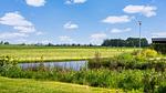 Aussicht vom Ferienhaus [Sommer] - Ferienhaus für 4 Personen (55 m²) - Top-Hundeurlaub