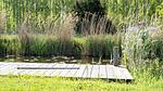 Ausstattung und Service des Ferienhauses - Ferienhaus für 4 Personen (55 m²) - Top-Hundeurlaub
