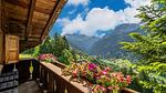 Aussicht vom Ferienhaus [Sommer] - Ferienwohnung für 12 Personen (90 m²) in Silbertal - Top-Hundeurlaub