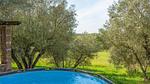 exterior - Ferienhaus für 6 Personen (226 m²) in Cinelli - Top-Hundeurlaub