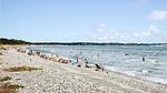 beach - Ferienhaus für 12 Personen (170 m²) in Ebeltoft - Top-Hundeurlaub