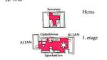 other - Ferienwohnung für 6 Personen (90 m²) in Skagen - Top-Hundeurlaub