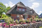 Terrasse - Düne - Top-Hundeurlaub