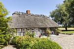 Fassade / Eingang - Backhaus - Geltinger Bucht - Top-Hundeurlaub