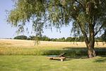 Gartenblick - Backhaus - Geltinger Bucht - Top-Hundeurlaub