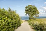 Strand - Backhaus - Geltinger Bucht - Top-Hundeurlaub