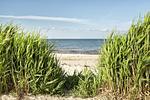 Strand - Backhaus - Geltinger Bucht - Top-Hundeurlaub