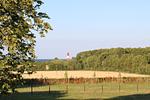 Landschaft - Caecilienhof - Geltinger Bucht - Top-Hundeurlaub