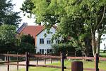 Haupthaus - Geltinger Bucht - Top-Hundeurlaub