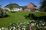 Garten - Hay Loft - Flensburger Förde - Top-Hundeurlaub