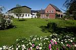 Garten - Kiekut's Land - Top-Hundeurlaub