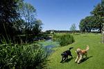 Garten - Lake View - Flensburger Förde - Top-Hundeurlaub