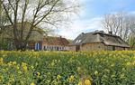 Hauptansicht - Großer Ostseehof - Top-Hundeurlaub