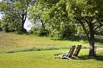 Garten - Wildhagen 1 - Schleiregion - Top-Hundeurlaub