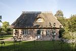 Hauptansicht - Wildhagen 2 - Schleiregion - Top-Hundeurlaub
