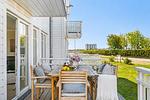 Terrasse - The Beach House - Top-Hundeurlaub
