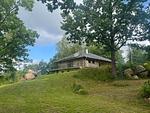 Gartenbereich rund um das Ferienhaus mit viel Grün und Ruhe - Villa Bergsmåla - Top-Hundeurlaub