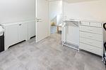 Dekoratives Detail - Anna - Top-Hundeurlaub