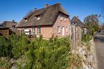 Reetdachhaus FRIESENgut - Top-Hundeurlaub